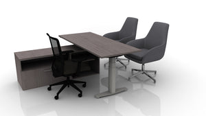 Rizer 72x30 Straight Desk Bundle with Low Credenza, Lucky, and Hudson Chairs